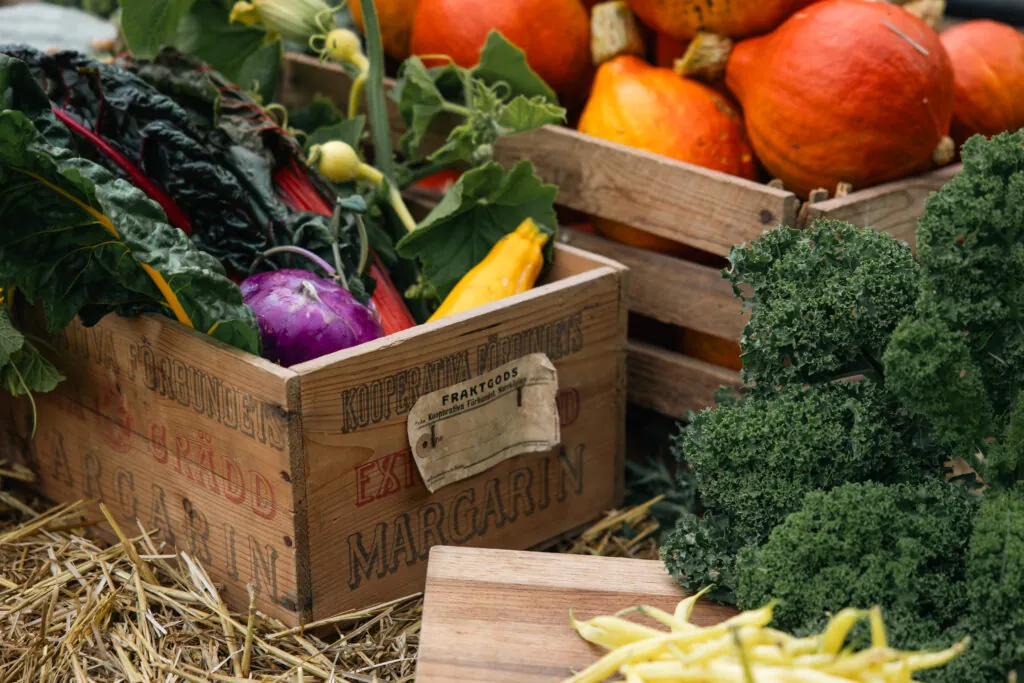 Färska grönsaker i trälådor - kål, squash, broccoli och andra säsongsråvaror för vår restaurangs närproducerade ...