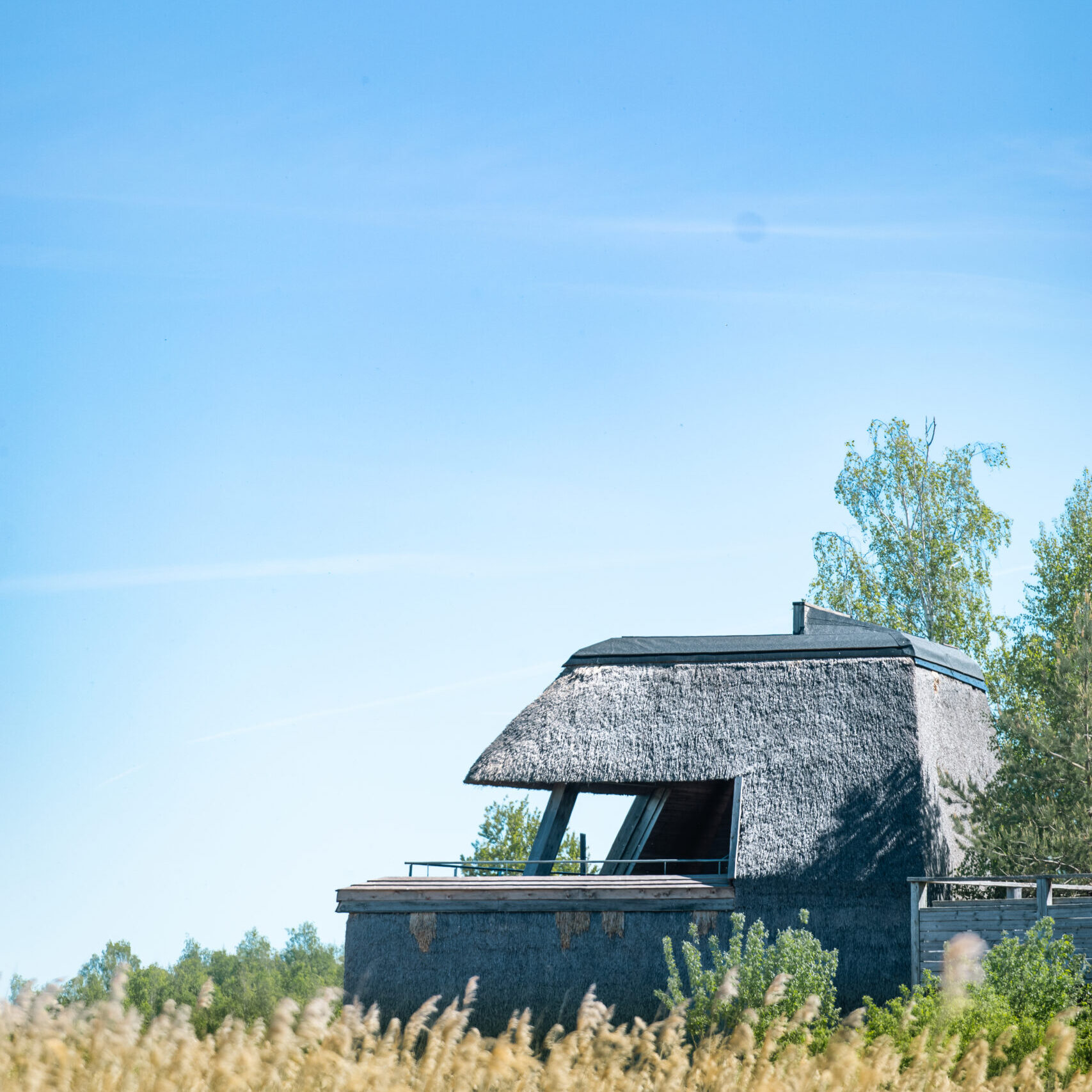 Naturskön arkitektur vid Vadstena Modern arkitektur med halmtak i naturskönt landskap nära Vadstena, omgiven av gyllene rörfält och grönska
